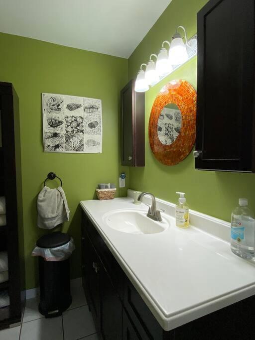 One Bed Suite Near Beaches And Downtown 사라소타 외부 사진